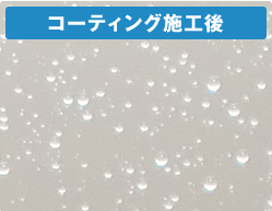 renewal-point1-after renewal-point1-after